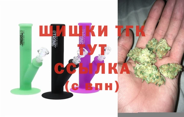 гашик Алексеевка