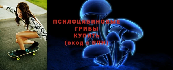 2c-b Алзамай