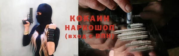 гашик Алексеевка