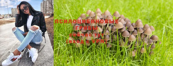 гашик Алексеевка