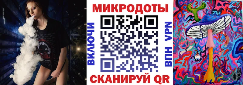Галлюциногенные грибы Psilocybine cubensis  Курчалой 